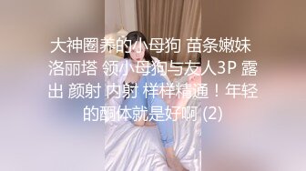 大神圈养的小母狗 苗条嫩妹 洛丽塔 领小母狗与友人3P 露出 颜射 内射 样样精通！年轻的酮体就是好啊 (2)