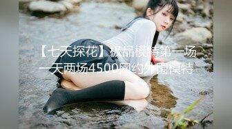 【七天探花】极品模特第一场一天两场4500网约外围模特