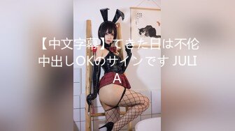 【中文字幕】てきた日は不伦中出しOKのサインです JULIA