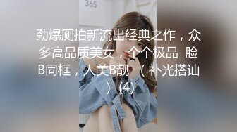 劲爆厕拍新流出经典之作，众多高品质美女，个个极品  脸B同框，人美B靓  （补光搭讪） (4)