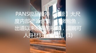 PANS极品模特【蕾蕾】大尺度内部资源合集，粉嫩鲍鱼，出道以来拍摄的视频，温婉可人身材好，推荐！ (1)