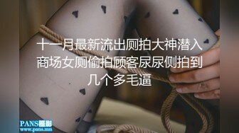 十一月最新流出厕拍大神潜入商场女厕偷拍顾客尿尿侧拍到几个多毛逼