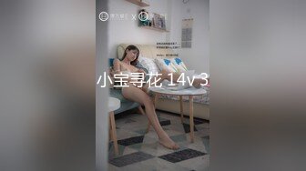 小宝寻花 14v 3