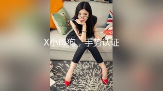 X小母狗，手势认证