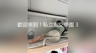 歡迎來到！私立亂交學園 3