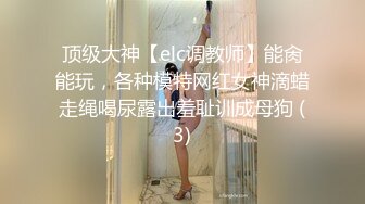 顶级大神【elc调教师】能肏能玩，各种模特网红女神滴蜡走绳喝尿露出羞耻训成母狗 (3)