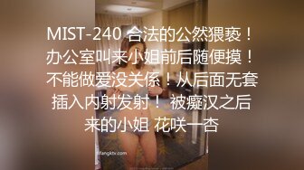 MIST-240 合法的公然猥亵！办公室叫来小姐前后随便摸！不能做爱没关係！从后面无套插入内射发射！ 被癡汉之后来的小姐 花咲一杏