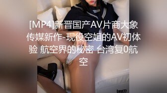 [MP4]新晋国产AV片商大象传媒新作-现役空姐的AV初体验 航空界的秘密 台湾复0航空