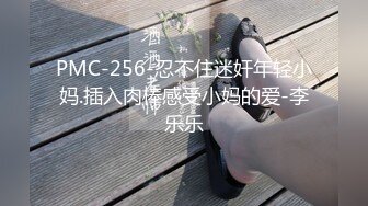 PMC-256-忍不住迷奸年轻小妈.插入肉棒感受小妈的爱-李乐乐