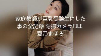 家庭教師が巨乳受験生にした事の全記録 隠撮カメラFILE 愛乃まほろ