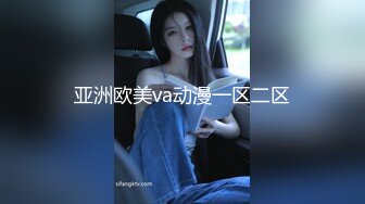 亚洲欧美va动漫一区二区