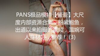 PANS极品模特【蕾蕾】大尺度内部资源合集，粉嫩鲍鱼，出道以来拍摄的视频，温婉可人身材好，推荐！ (3)