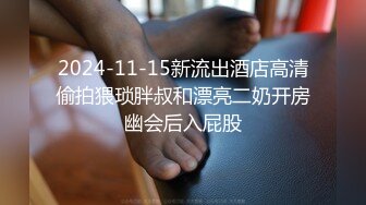 2024-11-15新流出酒店高清偷拍猥琐胖叔和漂亮二奶开房幽会后入屁股