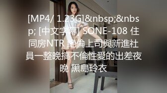 [MP4/ 1.23G]&nbsp;&nbsp; [中文字幕] SONE-108 住同房NTR 絶倫上司與新進社員一整晚搞不倫性愛的出差夜晚 黑島玲衣