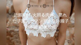 近親相汗 火照る肉体、蒸れた子宮、ガマンできない親子の本能 初美沙希