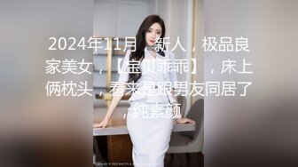 2024年11月，新人，极品良家美女，【宝贝乖乖】，床上俩枕头，看来是跟男友同居了，纯素颜