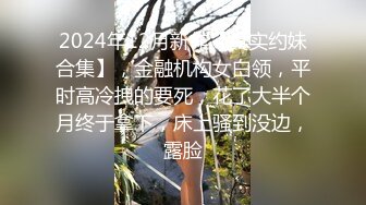 2024年12月新作【真实约妹合集】，金融机构女白领，平时高冷拽的要死，花了大半个月终于拿下，床上骚到没边，露脸