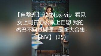 【自整理】P站Npx-vip  看见女上司在办公桌上自慰 我的鸡巴不自觉梆硬   最新大合集【NV】 (25)