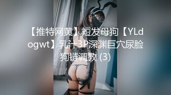 【推特网黄】短发母狗【YLdogwt】乳汁3P深渊巨穴尿脸狗链调教 (3)