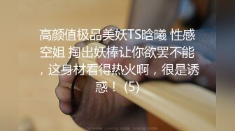 高颜值极品美妖TS晗曦 性感空姐 掏出妖棒让你欲罢不能，这身材看得热火啊，很是诱惑！ (5)