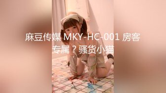 麻豆传媒 MKY-HC-001 房客专属？骚货小猫