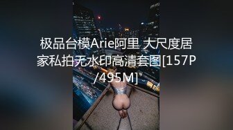 极品台模Arie阿里 大尺度居家私拍无水印高清套图[157P/495M]